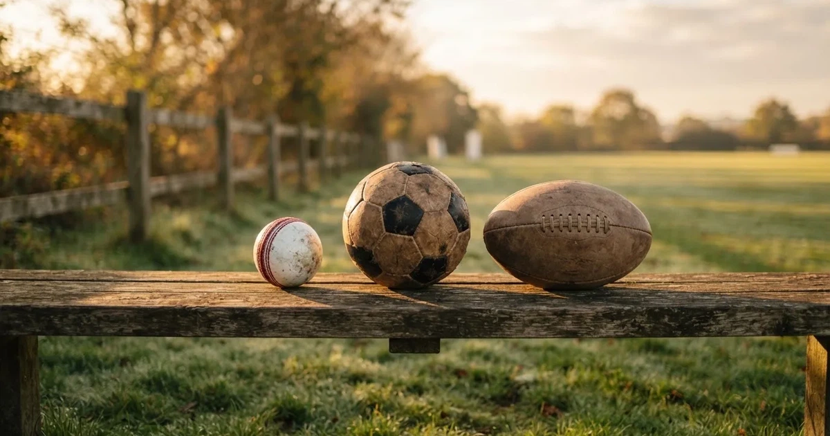 Three balls of different kinds side by side on a wooden bench