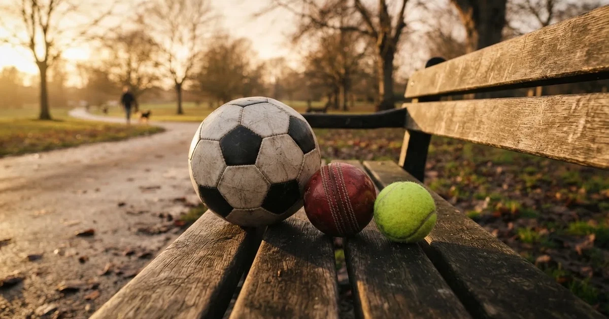 Three balls of different kinds side by side on a wooden bench